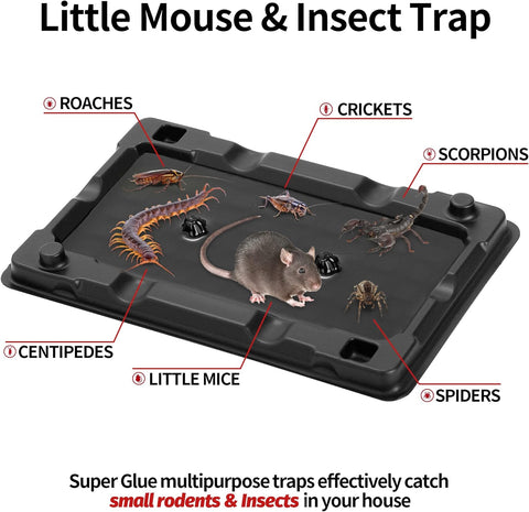 LULUCATCH Mouse & Insect Traps 12 Pack, Heavier Sticky Traps with Non-Toxic Glue for Small Mice & Insects. Sticky Mouse Traps Indoor for Home, Easy to Set