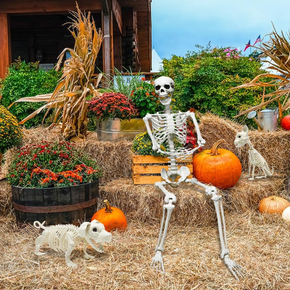 5.4ft Halloween Full Size Skeleton with Dog Cat for Haunted Party Decor