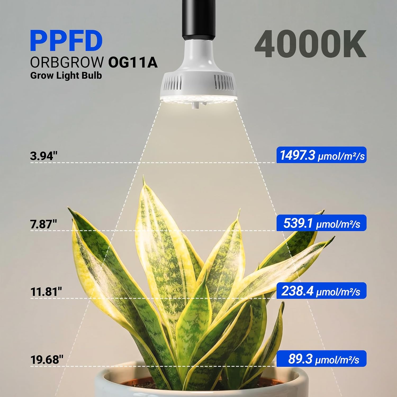 Barrina OG11A Grow Light Bulbs for Indoor Plant, 4000K 11W, 2 Packs, White
