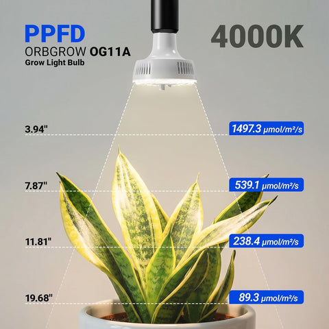 Barrina OG11A Grow Light Bulbs for Indoor Plant, 4000K 11W, 2 Packs, White