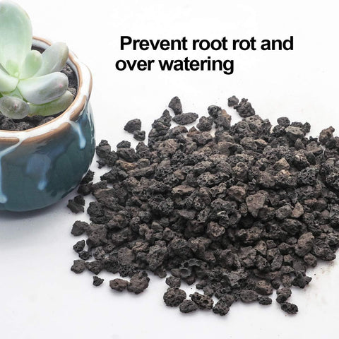 TOYPOPOR 6lb Black Lava Rock for Plants, Natural Horticultural Volcanic Grit, Cactus Succulents Bonsai Stones, Crushed Potting Gravel for Drainage Planter, Terrarium Decor, Gardening Soil Additive