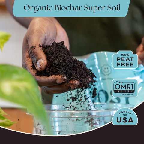 Rosy Soil Houseplant Potting Soil, Organic Indoor Potting Mix, 4 Quarts