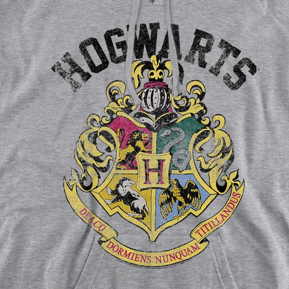 Trevco Harry Potter Hogwarts Crest Unisex Adult Pull-Over Hoodie