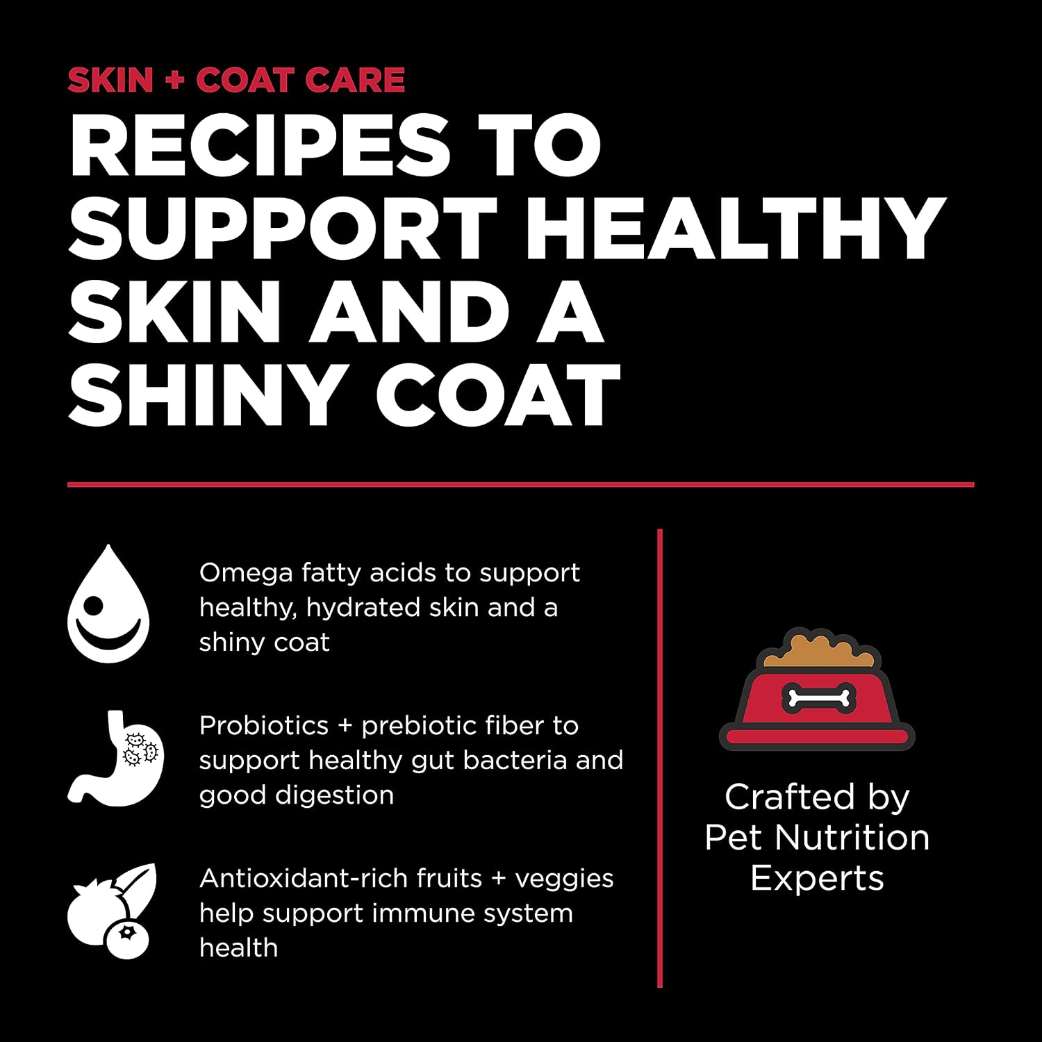 Go! Solutions Skin + Coat Care Lamb Dry Dog Food with Grains, Chicken-Free, Healthy Kibble with Omega-3s & 6s for Soft, Shiny Fur, for Puppies, Adults, & Seniors, 22 lb Bag