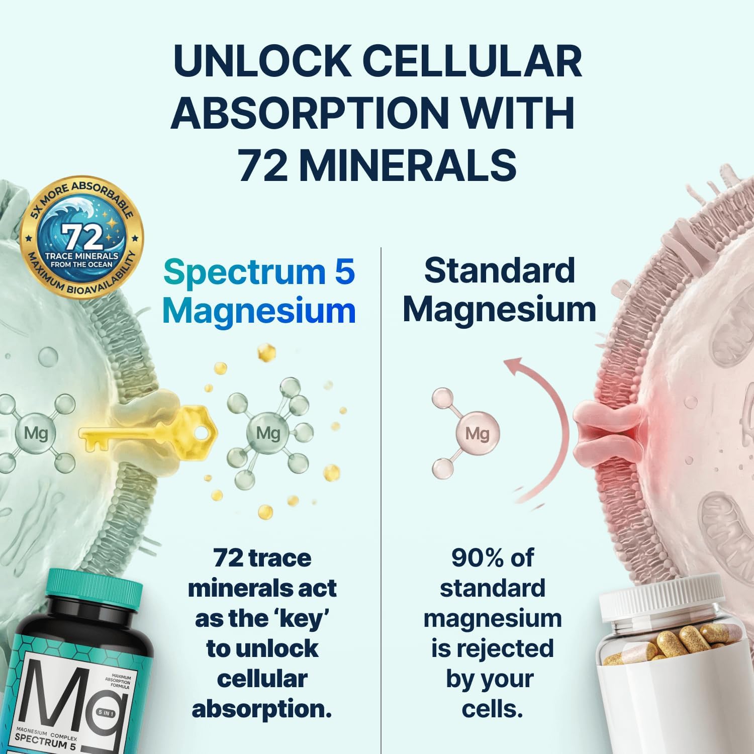 Spectrum 5 Magnesium | 5-in-1 Complex