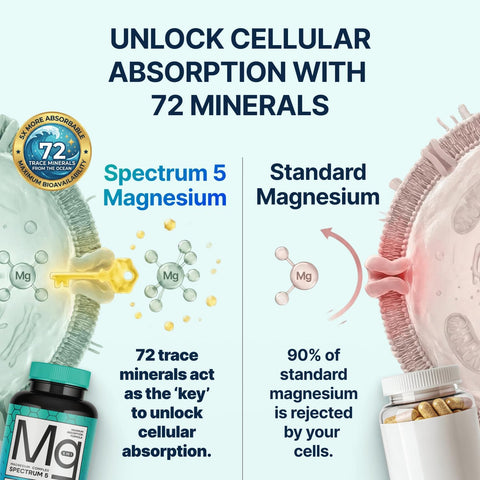 Spectrum 5 Magnesium | 5-in-1 Complex