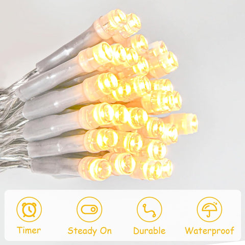cshare Warm White String Lights Battery Operated with Timer, 9.8ft 30 LED Waterproof Fairy Lights Clear Wire for Bedroom, Wedding, Christmas, Centerpiece, Mason Jar, Patio, Indoor Outdoor Decor