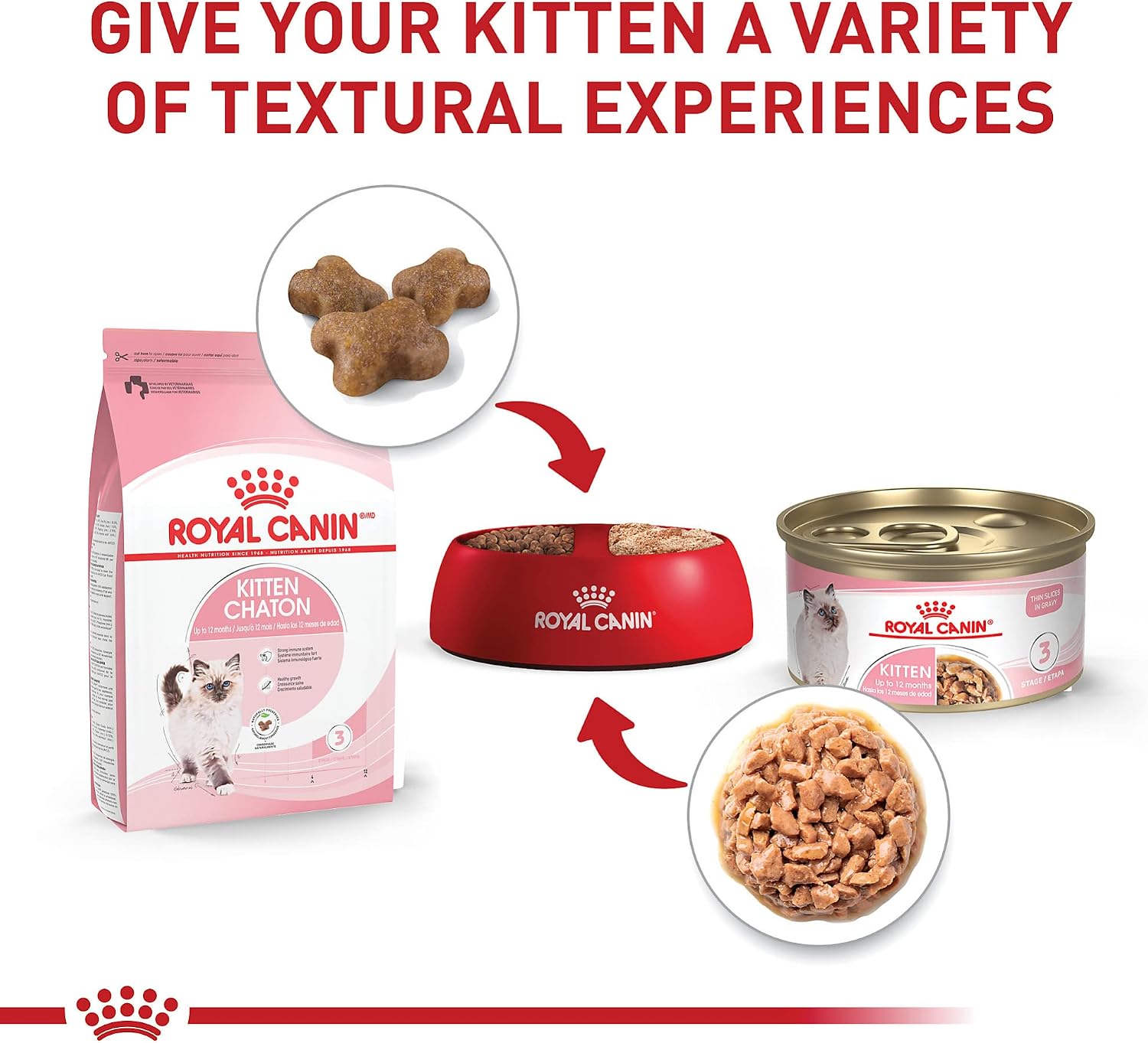 Royal Canin Feline Health Nutrition Kitten Thin Slices in Gravy Cat Food, 3 oz (Pack of 12)