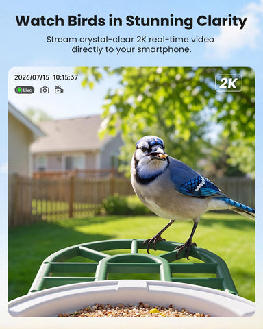 HARYMOR Bird Feeder with Camera, 2K Live Video, AI Identify Bird Species