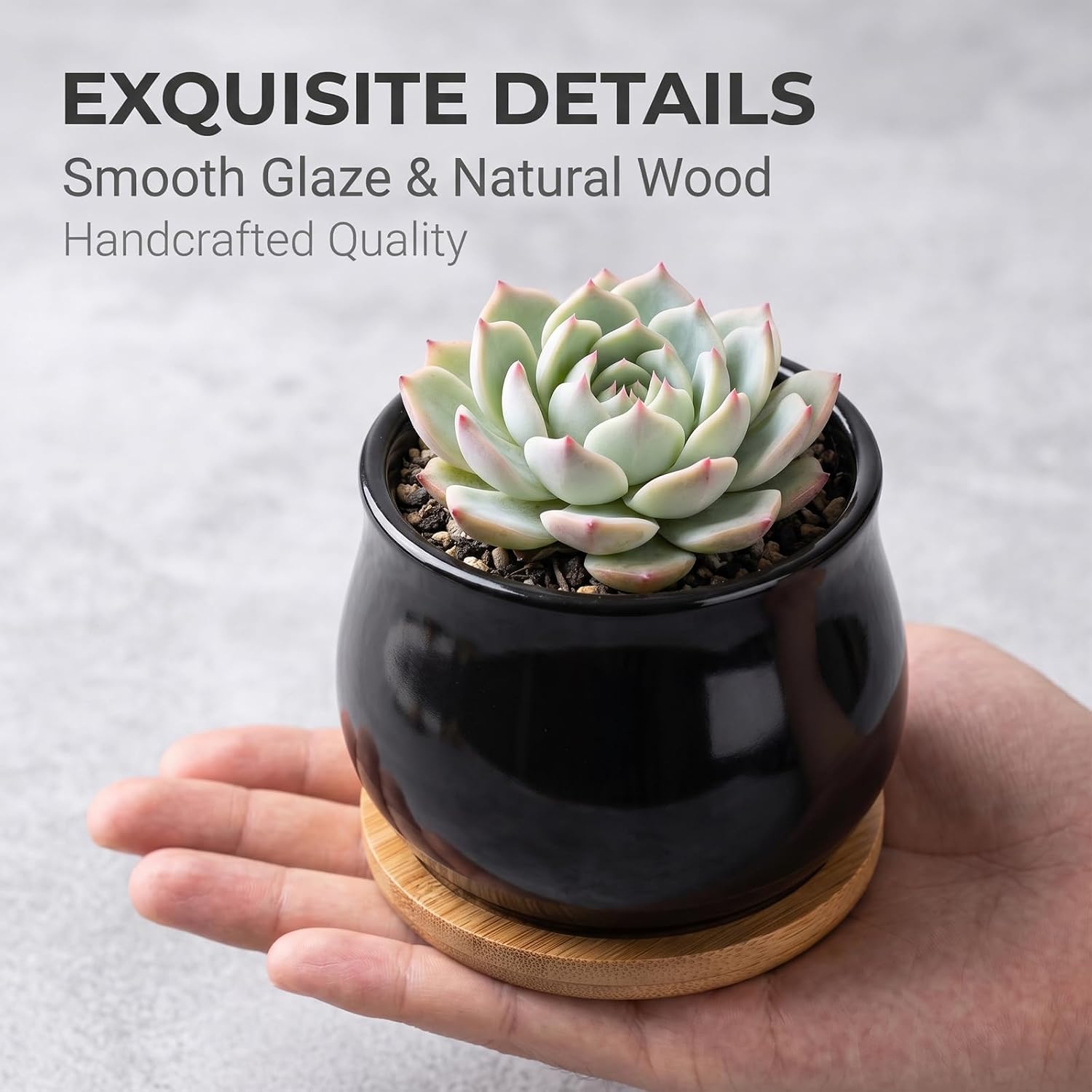 SHECIPIN 8 Pack Succulent Plant Pot, Matte Black Mini 2.6 inch Ceramic Flower Planter Pot with Bamboo Tray, Small Pots for Plants, Plants Not Included