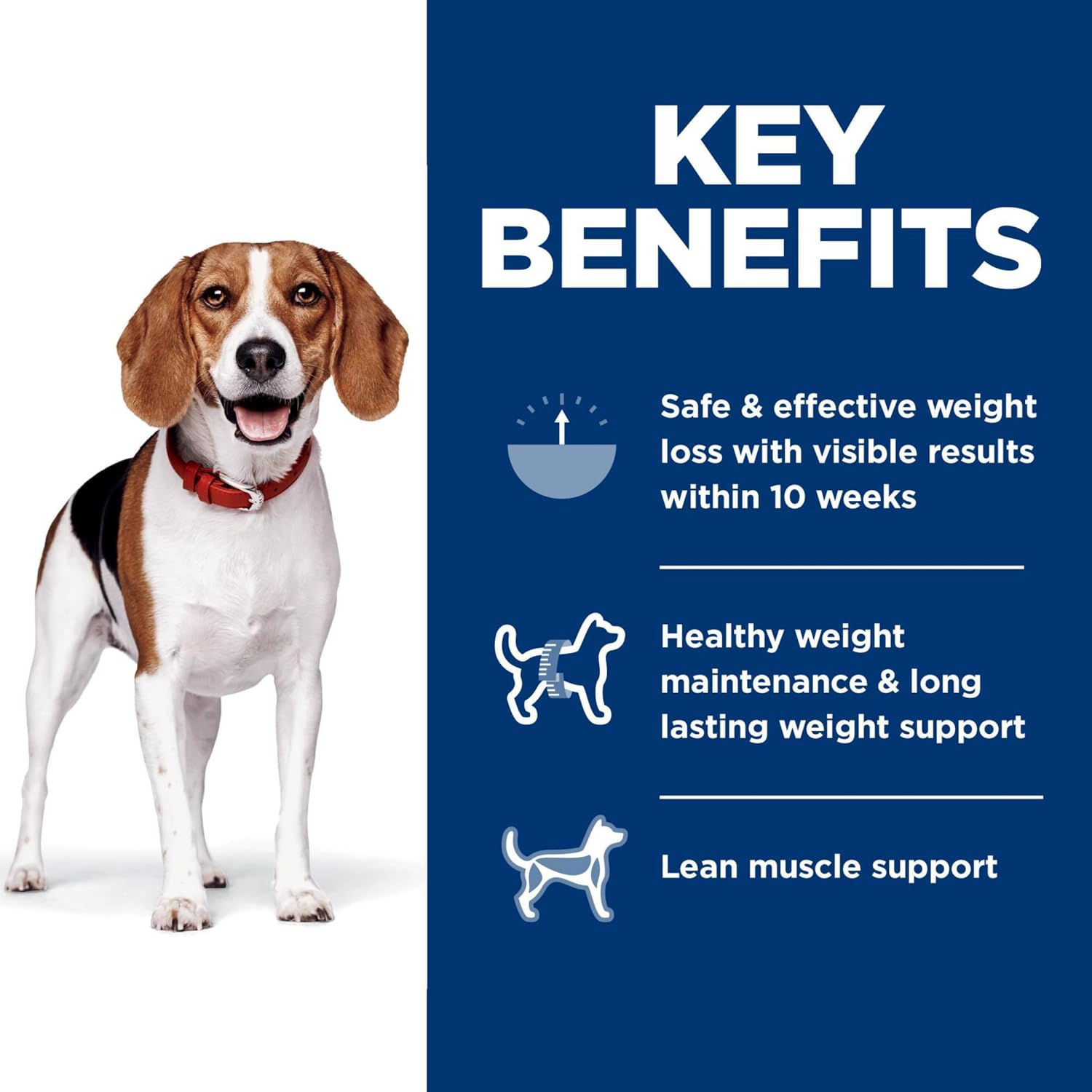Hill's Science Diet Adult Perfect Weight Small Bites Dry Dog Food