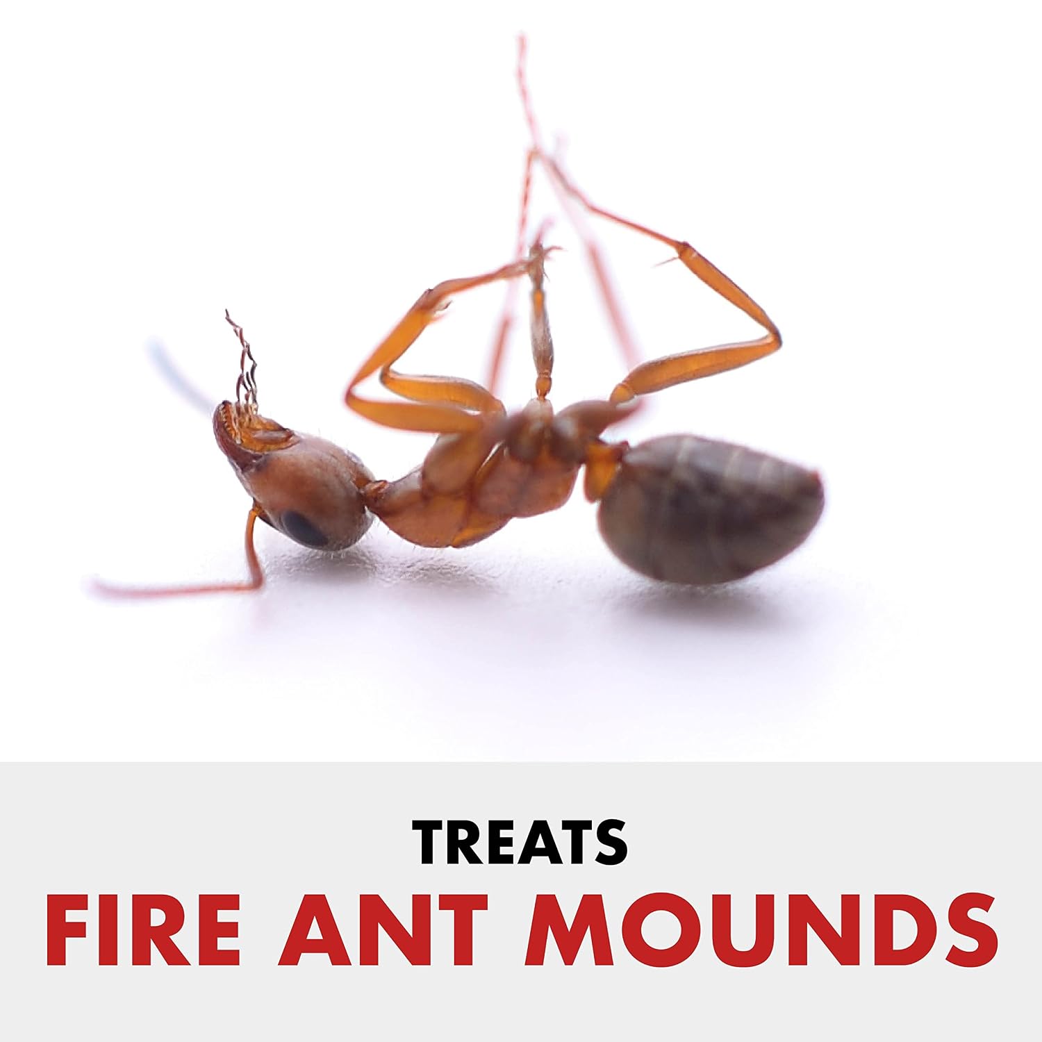 Spectracide Fire Ant Shield Mound Destroyer Granules 3.5 Lb, 6 Pack