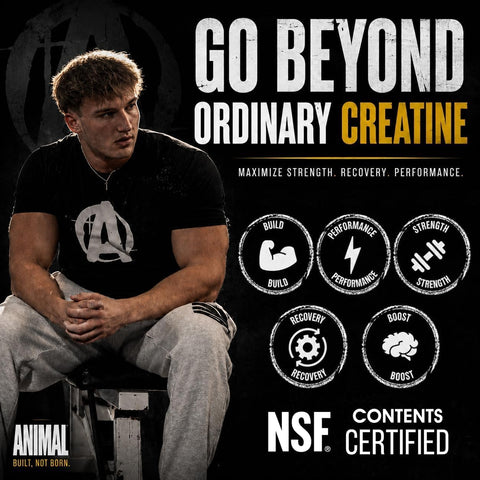 Animal Micronized Creatine Monohydrate Capsules - 300 Caps, 2500mg per Serving to Support Muscle Growth, Endurance, ATP Production, Cognitive Function, Strength, Recovery, and Delay Muscle Fatigue