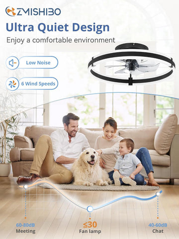 ZMISHIBO Low Profile 19.7'' Ceiling Fans with Lights and Remote, Black