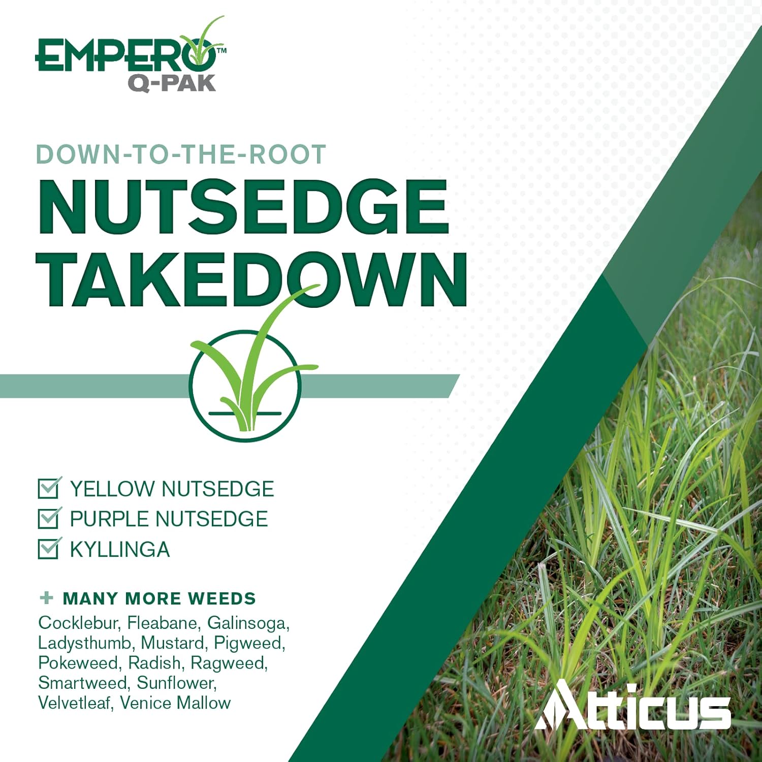 Atticus Empero Q-Pak Nutsedge Killer (2 Pack) Turf Herbicide - Kills Nut Grass in Established Lawns, Ornamental Turfgrass, & Landscape Areas - Halosulfuron