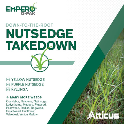 Atticus Empero Q-Pak Nutsedge Killer (2 Pack) Turf Herbicide - Kills Nut Grass in Established Lawns, Ornamental Turfgrass, & Landscape Areas - Halosulfuron
