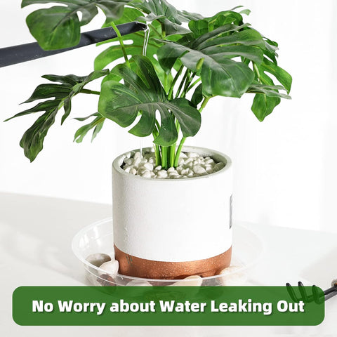 TRUEDAYS 20 Pack Plant Saucers (6 inch / 8inch / 10inch / 12inch) Clear Plant Saucers Flower Pot Tray Excellent for Indoor & Outdoor Plants