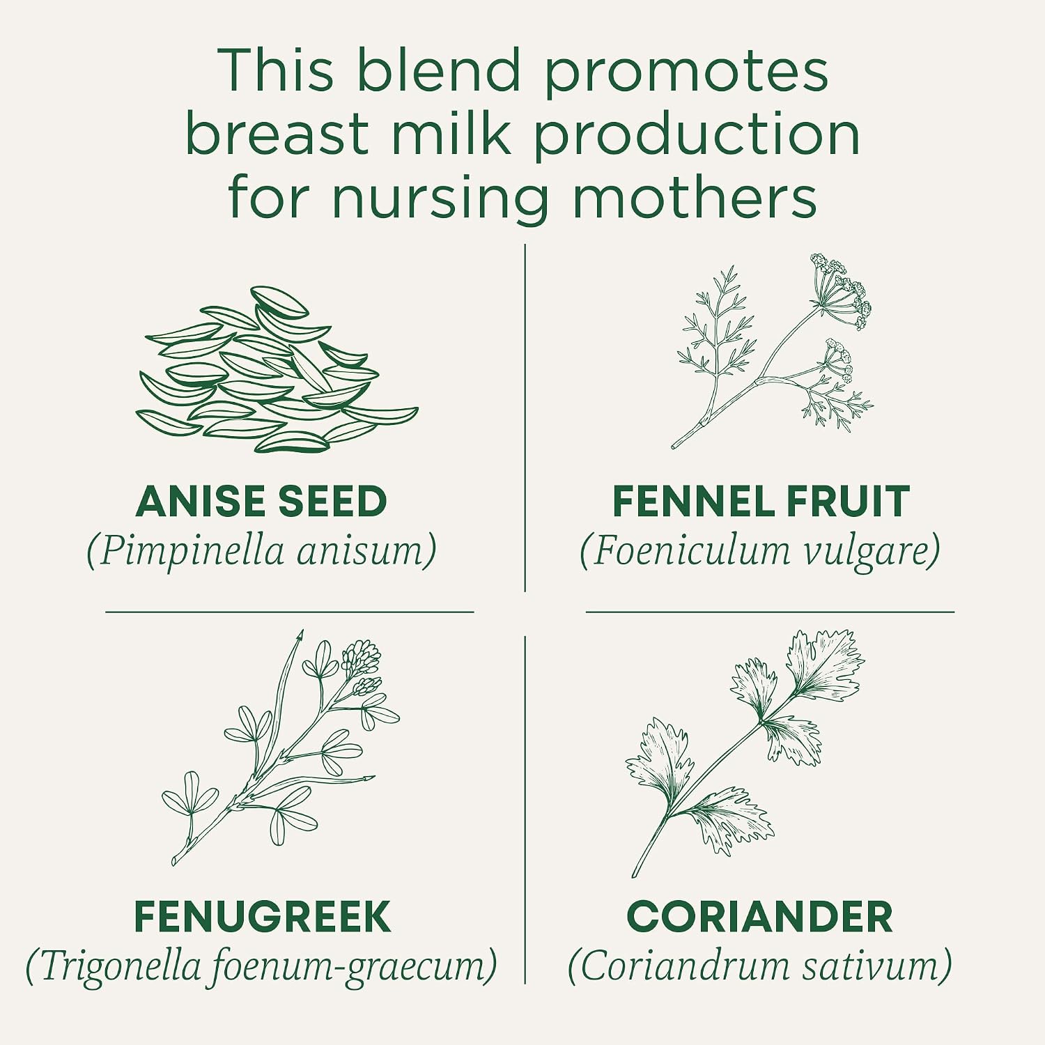 Traditional Medicinals Organic Mother's Milk, 96 Tea Bags | Herbal Sleep Aid Teas, Kosher, Non-GMO, Caffeine-Free, Compostable