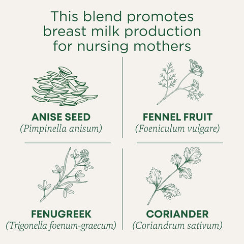 Traditional Medicinals Organic Mother's Milk, 96 Tea Bags | Herbal Sleep Aid Teas, Kosher, Non-GMO, Caffeine-Free, Compostable