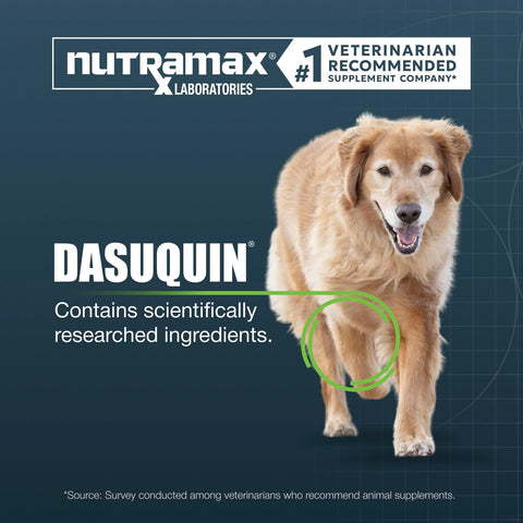 Nutramax Dasuquin Senior Joint Supplement for Large Dogs Soft Chews 84ct