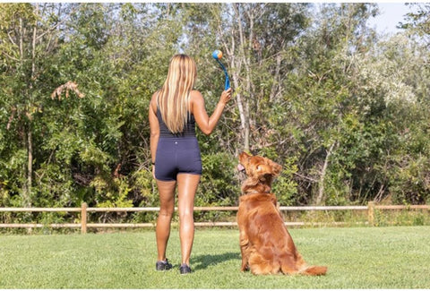 Chuckit! Dog Ball Launcher 12M Sport, Plastic, Great for Kids