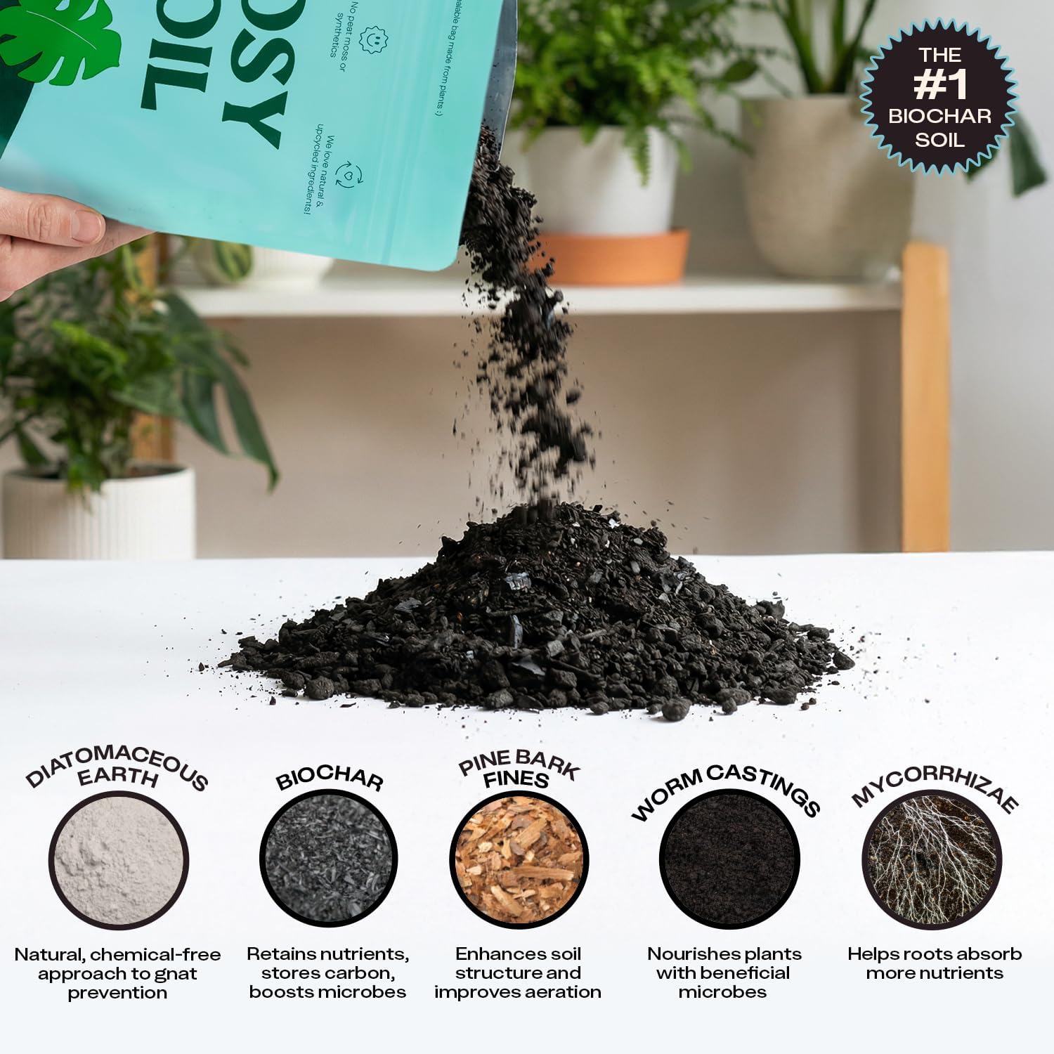 Rosy Soil Houseplant Potting Soil, Organic Indoor Potting Mix, 4 Quarts