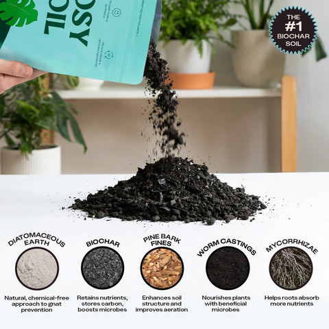 Rosy Soil Houseplant Potting Soil, Organic Indoor Potting Mix, 4 Quarts