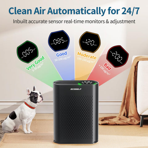 Air Purifier for Large Room, Cleans 2,400 ft² in 30 Mins, 3-Stage True HEPA, 360° Airflow, Large Touch Display Control, Real-Time Air Quality (PM2.5) Display, Ultra-Quiet 20dB Sleep Mode, HAP602 Black