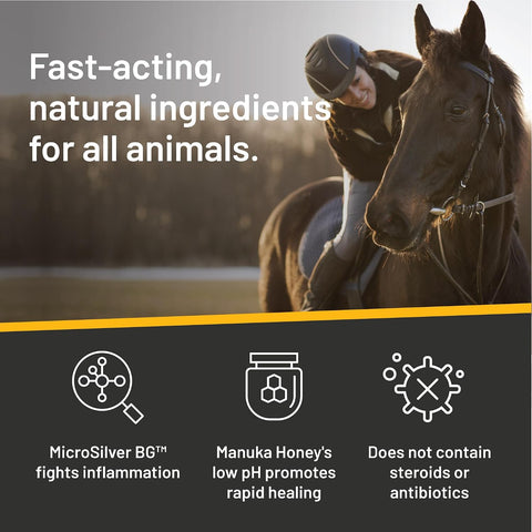 Absorbine Silver Honey Rapid Wound Repair Ointment 2oz Tube, Manuka Honey + MicroSilver BG, Horse & Large Animal Wound Care