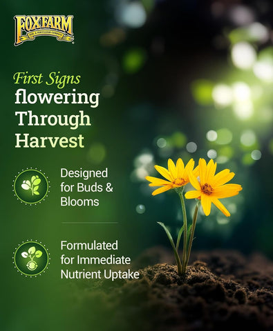 FoxFarm Soil Liquid Trio Pack - Big Bloom, Grow Big, Tiger Bloom Fertilizers Supports Vigorous Plant Growth, Bud Development & Abundant Fruit - Complete Liquid Plant Food Set - 3 Quart Bottles
