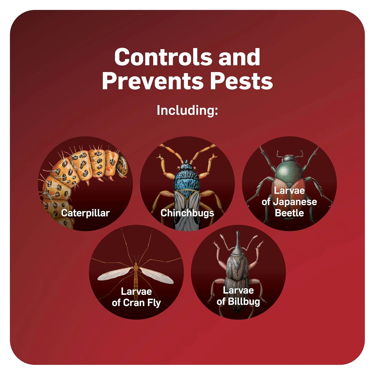 Scotts GrubEX1 Season Long Grub Killer, 28.7 lbs. (2-Pack)