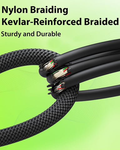 AA AUDIO ACCESSORY XLR Cables 10ft 2 Pack, 21AWG OFC Dual Shielded Mic Cord
