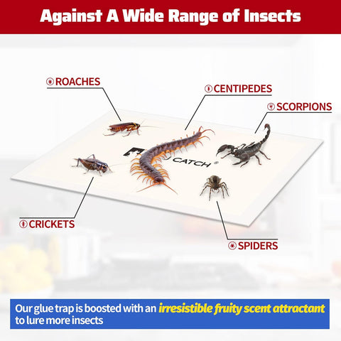 LULUCATCH Cricket Insect Glue Traps - 24 Pack Bug Cockroach Sticky Traps, Large Spider Trap with Pre-Baited Attractant, Highly Effective Glue Boards Indoor, Non-Toxic Pet Safe, Easy to Use