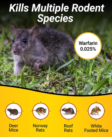 Kaput Mouse Blocks, Rodent Bait for Mice & Rats, Warfarin Vole Killer for Indoor/Perimeter Use, Kills Rodents with Consistent Feeding - Ideal for Homes, Farms & Transport Areas (4 lbs)