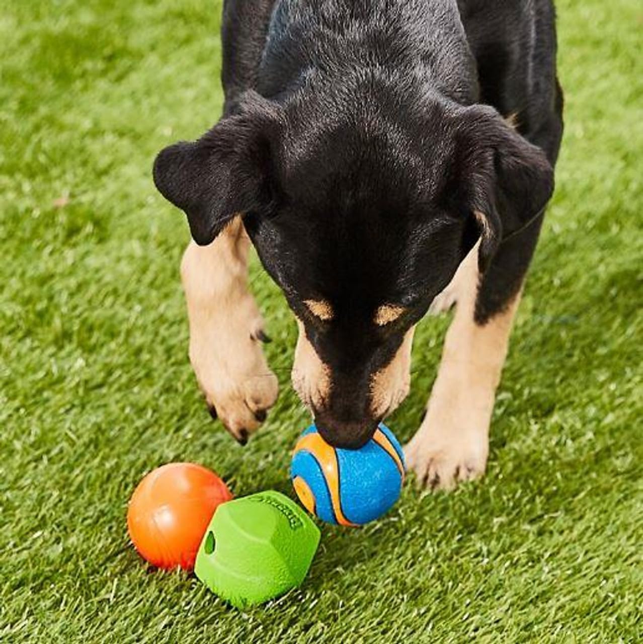 Chuckit Gen 1 Fetch Pack Dog Balls - Interactive Dog Toys, High-Bounce Fetch Ball, Floating Ultra and Rugged Balls, Durable - Size Medium, 2.5-inch Diameter, Set of 3