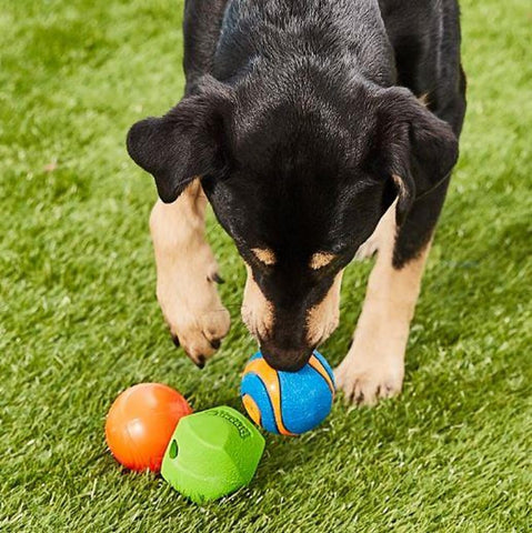Chuckit Gen 1 Fetch Pack Dog Balls - Interactive Dog Toys, High-Bounce Fetch Ball, Floating Ultra and Rugged Balls, Durable - Size Medium, 2.5-inch Diameter, Set of 3