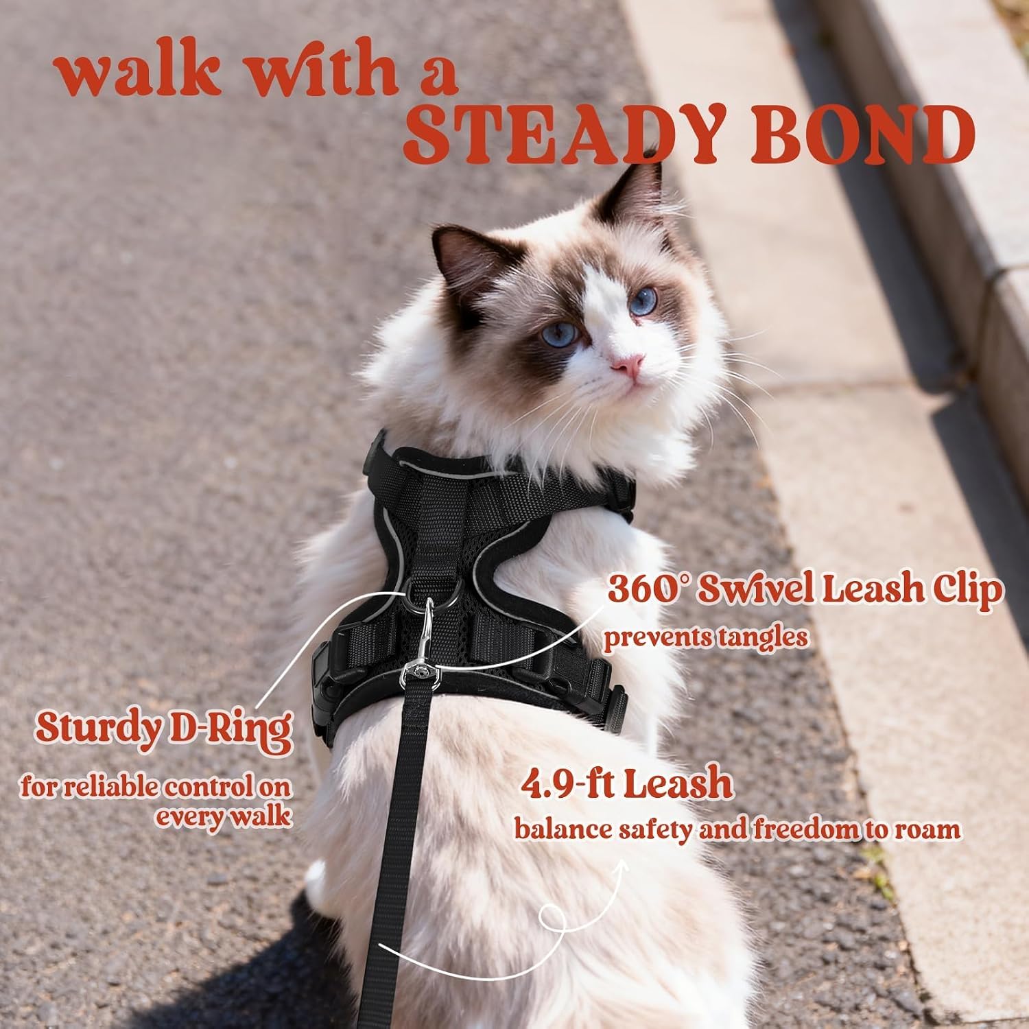 rabbitgoo Cat Harness and Leash Set, Escape Proof Vest, Black