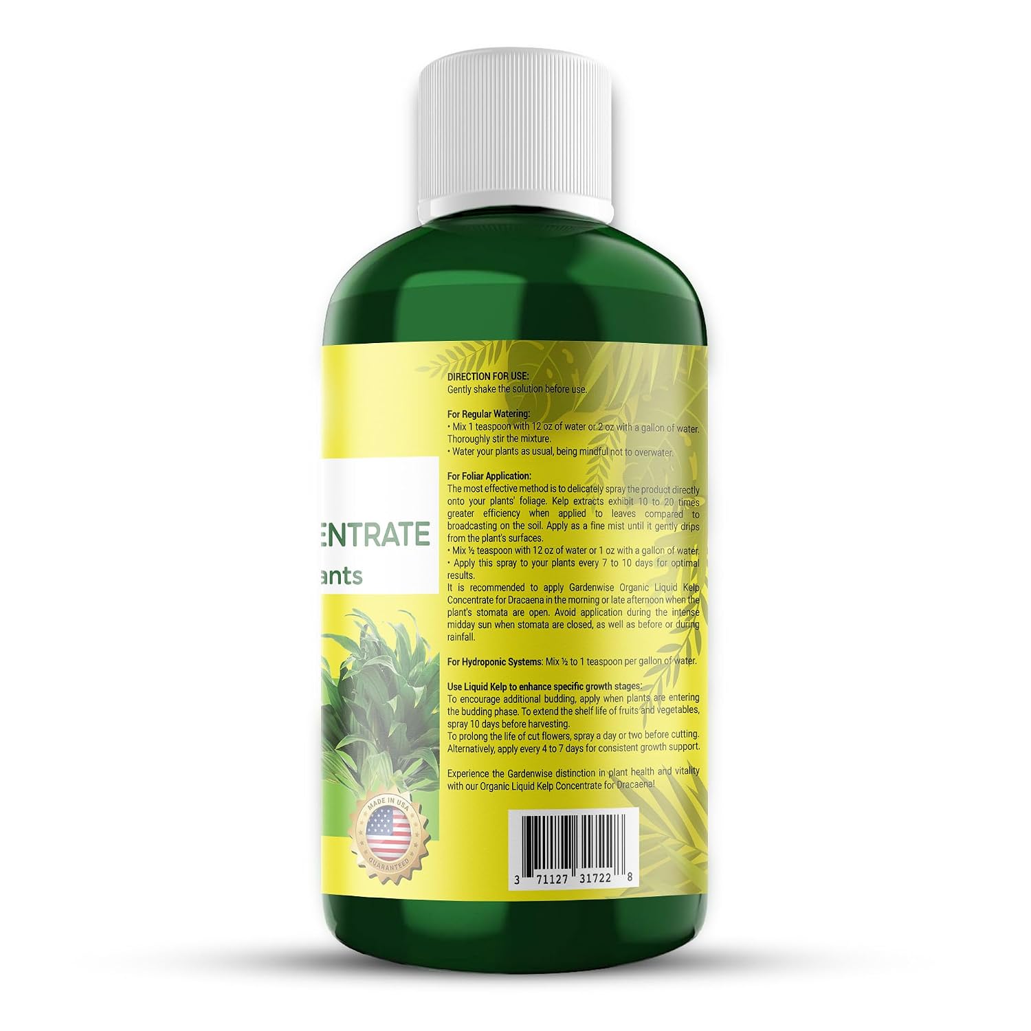 GARDENWISE Dracaena Fertilizer: Liquid Kelp Concentrate - Organic Seaweed Fertilizer for Robust Growth (8 OZ)