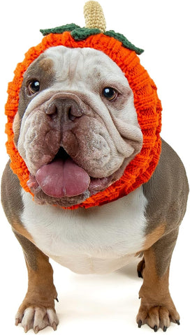 Zoo Snoods Pumpkin Dog Costume - Warm Crochet Snood Wrap for Pets, Neck Ear Cover Protection, Halloween Winter (Large)