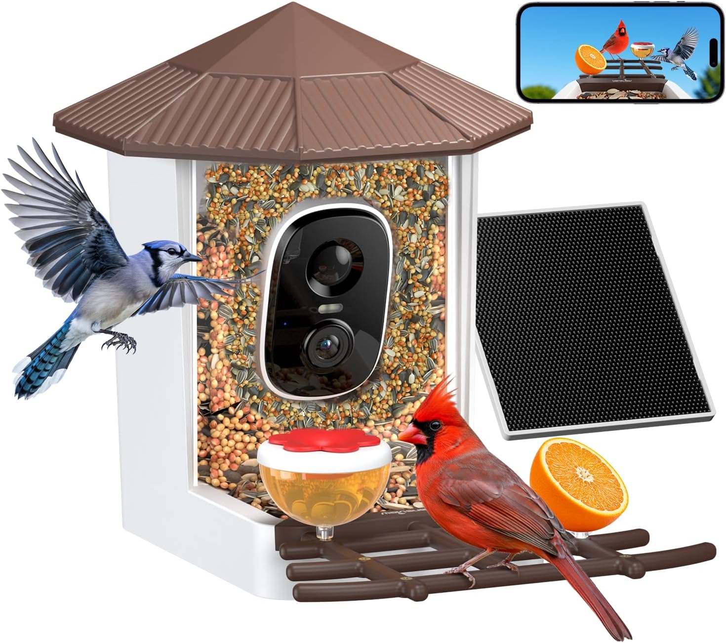 wansview 2K Bird Feeder with Camera Solar Powered, 2.4G WiFi, F1 Brown