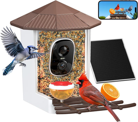 wansview 2K Bird Feeder with Camera Solar Powered, 2.4G WiFi, F1 Brown