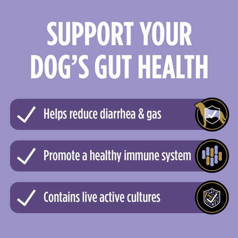 Purina Pro Plan Veterinary Supplements FortiFlora Probiotic Powder for Dogs, Daily Support for Digestive and Immune Health and Occasional Diarrhea