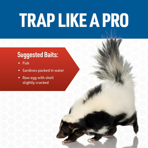 JT Eaton Answer Humane Live Catch & Release Skunk Trap, Wire Cage