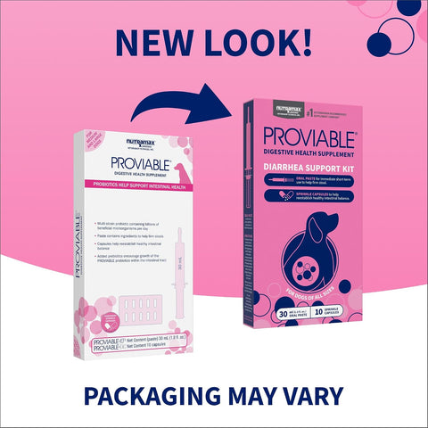 Nutramax Proviable Probiotics + Prebiotics for Dogs, Diarrhea Support Kit