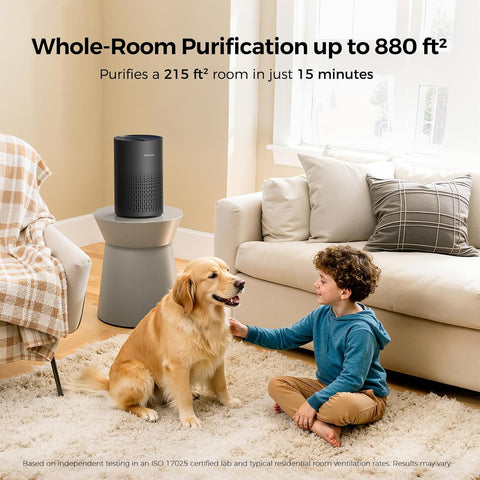 Purivortex Air Purifiers for Bedroom, Covers Up to 880 Sq Ft, PX500 Black