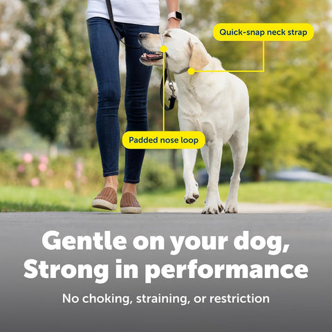 PetSafe Gentle Leader No Pull Dog Headcollar, Royal Blue, Medium