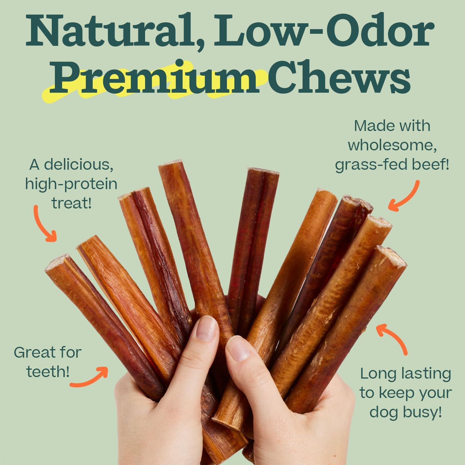 WOOF Bully Sticks Dog Chew Treats, 6 Inch, 10 Count