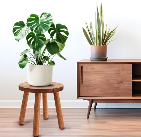 Solid Wooden Stool,Plant Stand,Step Stool,Light Walnut,11.8" H