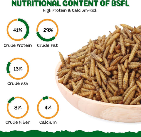 Dried Black Soldier Fly Larvae, 10LB All Natural Chicken & Bird Treats, High-Protein Grub Feed for Laying Hens, Ducks, Reptiles, Hamsters - More Calcium Than Mealworms