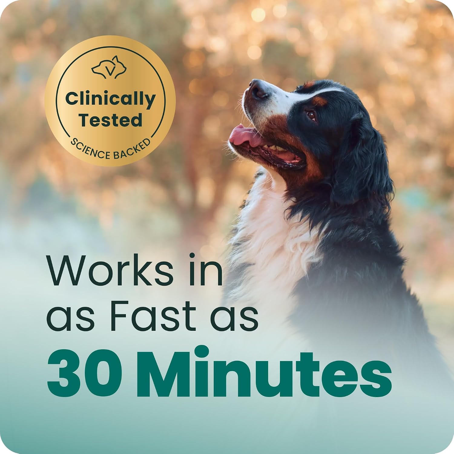 VetriScience Calm & Confident Chews for Dogs, Chicken, 120 Count
